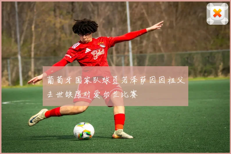 葡萄牙国家队球员若泽萨因因祖父去世缺席对爱尔兰比赛